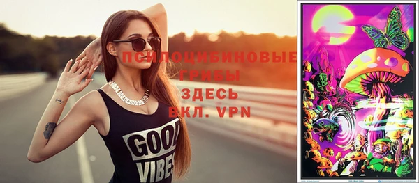 стафф Арсеньев