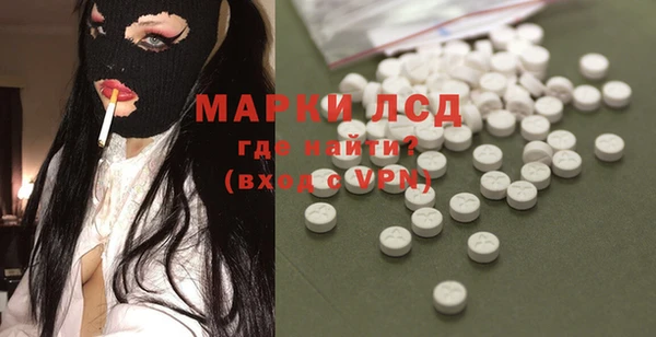 стафф Арсеньев