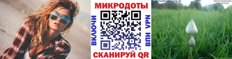 дарнет шоп  Менделеевск  Псилоцибиновые грибы Magic Shrooms 